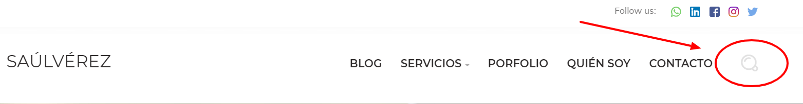 Búsqueda interna en web